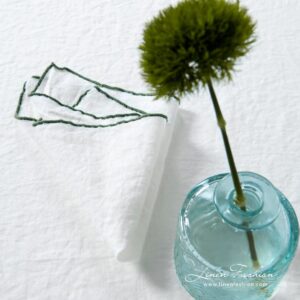 ARVO Lautasliina valkoinen oliivinvärisellä reunuksella